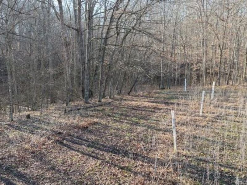 1459 State Route 73, Peebles, OH 45660 Photo 42