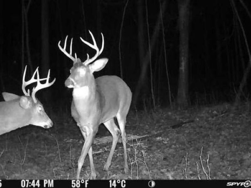 1459 State Route 73, Peebles, OH 45660 Photo 45