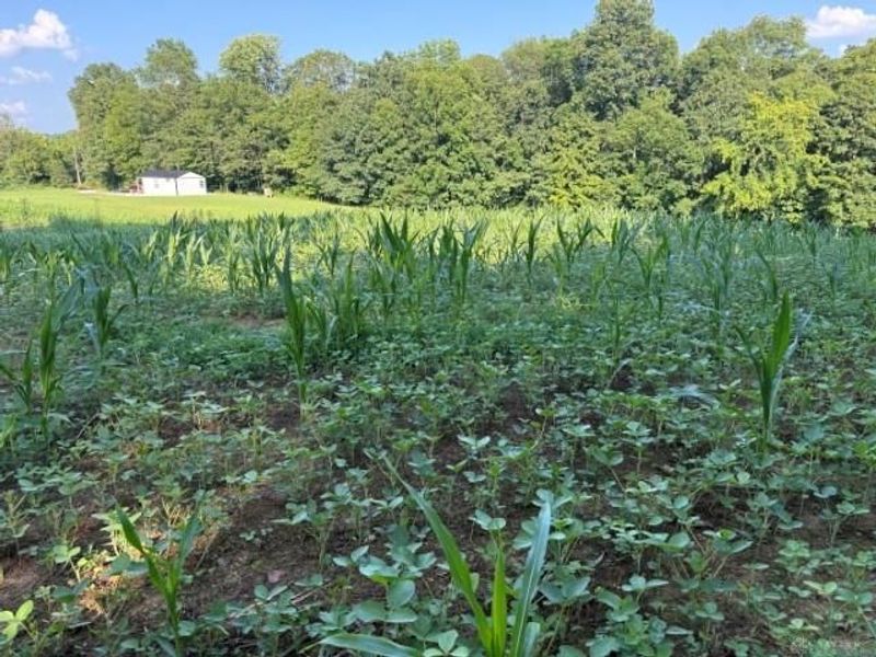 1459 State Route 73, Peebles, OH 45660 Photo 46