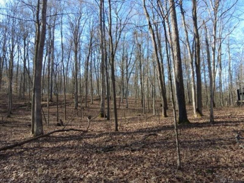 1459 State Route 73, Peebles, OH 45660 Photo 6