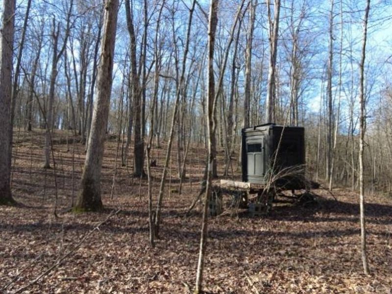 1459 State Route 73, Peebles, OH 45660 Photo 8