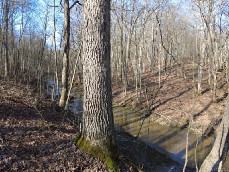 1459 State Route 73, Peebles, OH 45660 Photo 9