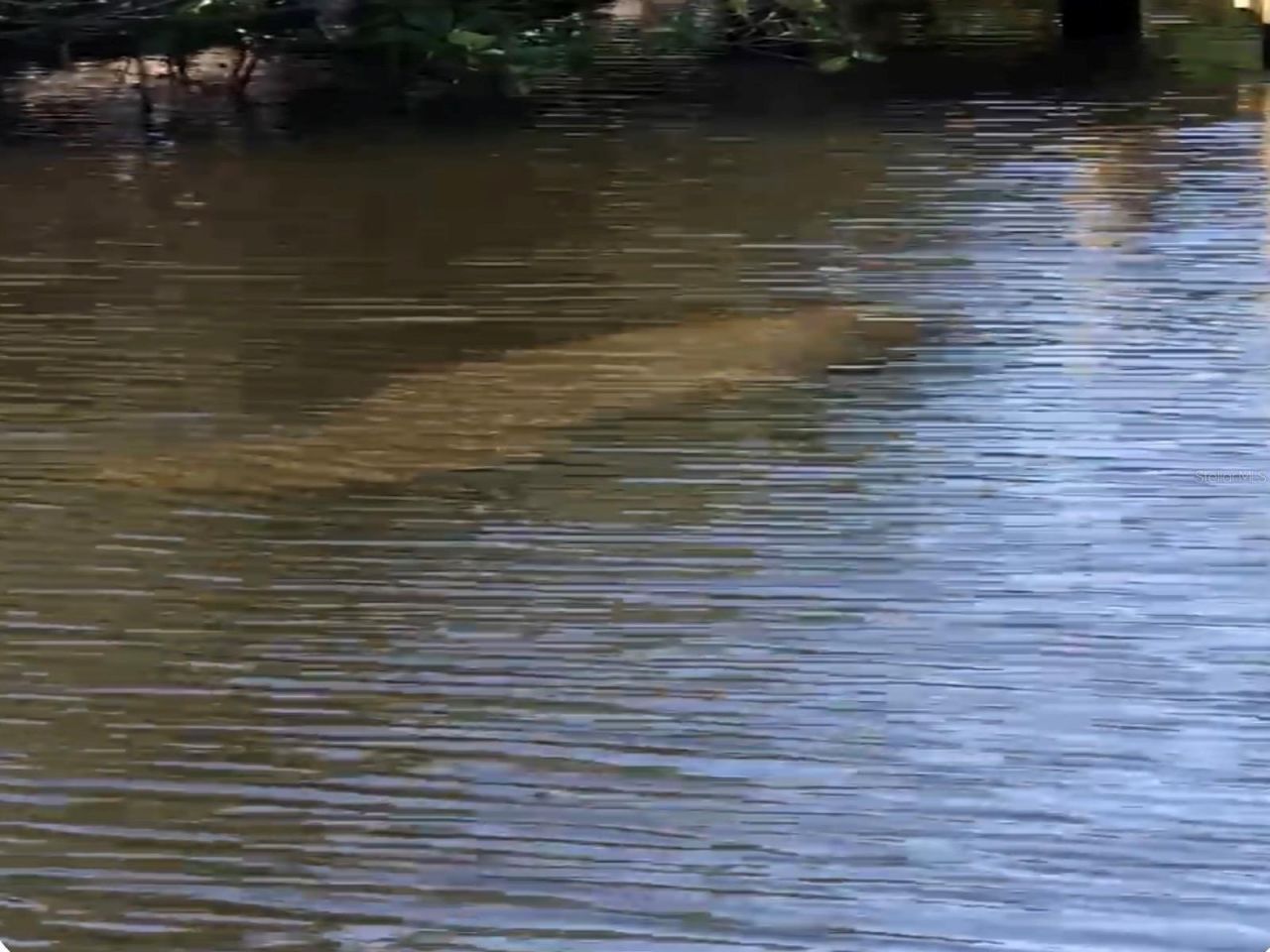 2136 Arkansas Avenue, Englewood, FL 34224 Photo