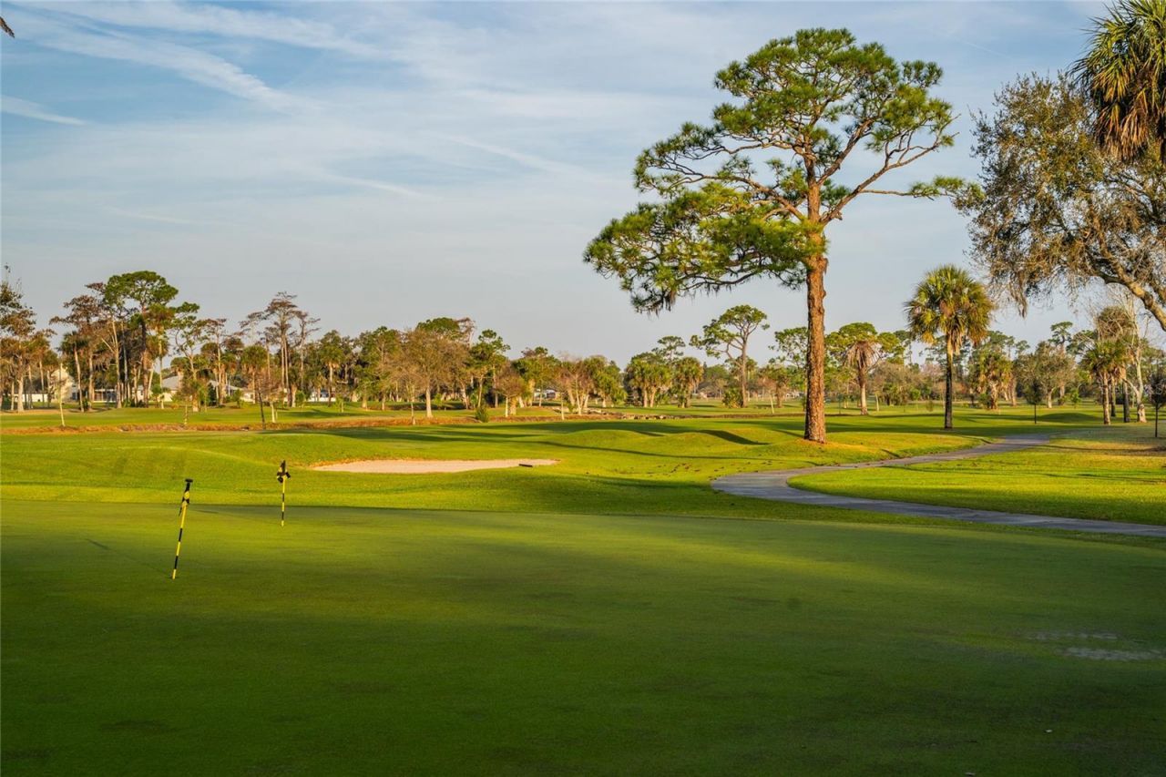 830 Fairway Drive, New Smyrna Beach, FL 32168 Photo