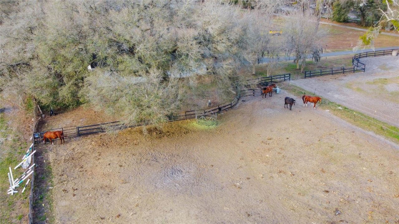 1154 SE 95th Street, Ocala, FL 34480 Photo