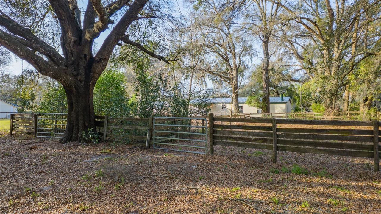 1154 SE 95th Street, Ocala, FL 34480 Photo