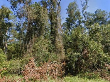 TBD NW SUWANNEE VALLEY ROAD, LAKE CITY, FL 32055