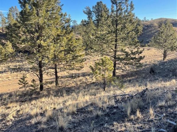 00 Tarryall Road , Hartsel, CO 80449