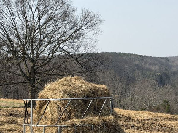 5 N Lick Creek Rd , Franklin, TN 37064