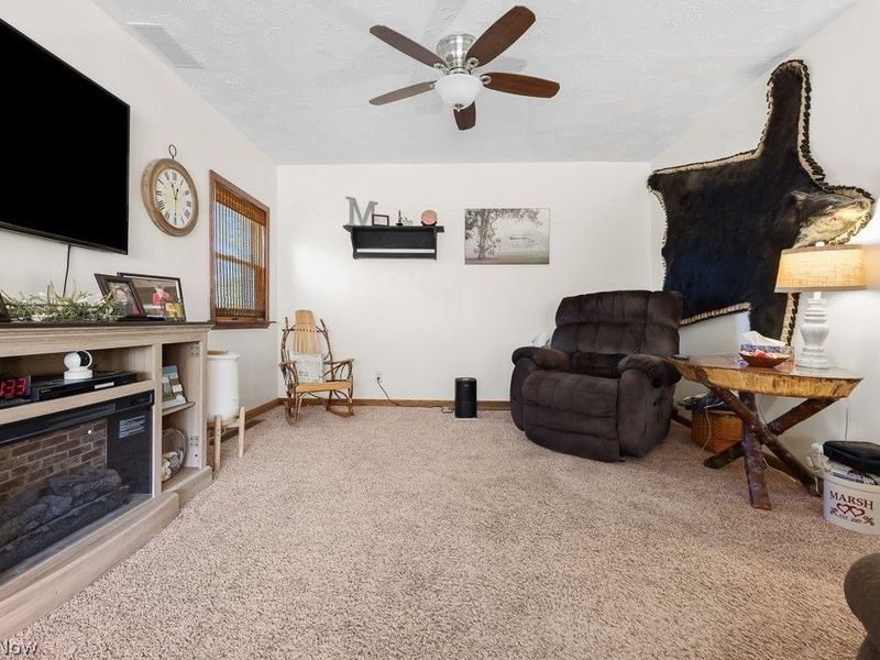 6686 Mahoning Avenue NE, Alliance, OH 44601 Photo 12