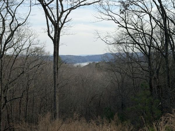 439 Buck Creek Road, Ellijay, GA 30540