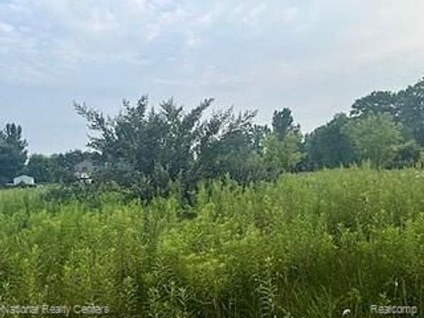 00 Stow Road , Conway Twp, MI 48892