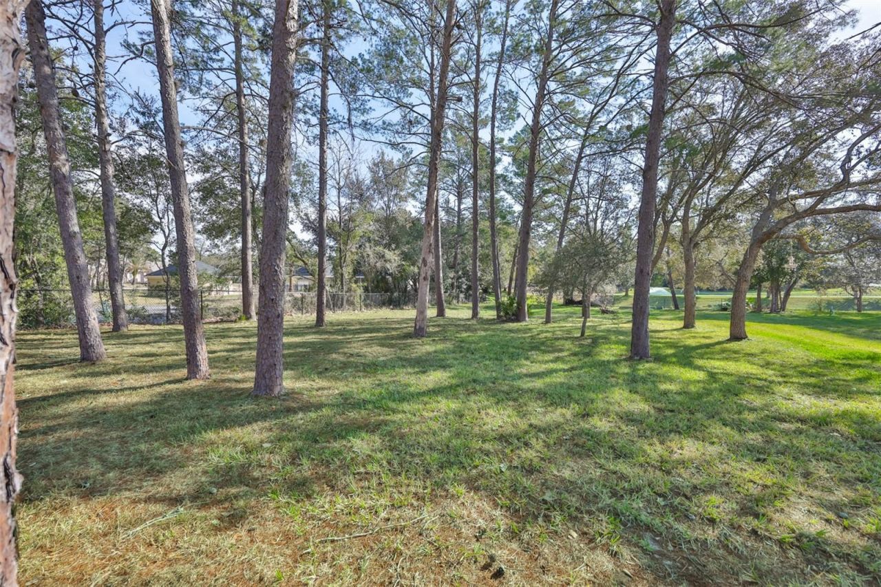 11235 Warm Wind Way , Weeki Wachee, FL 34613 Photo