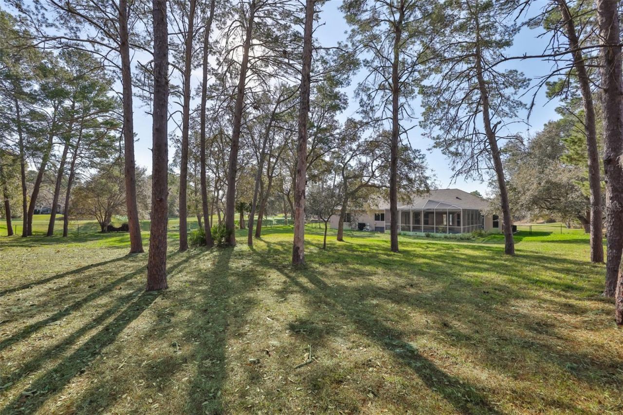 11235 Warm Wind Way , Weeki Wachee, FL 34613 Photo