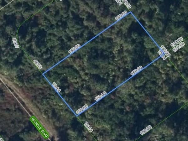 455 NICHELE BOULEVARD , LAKE PLACID, FL 33852