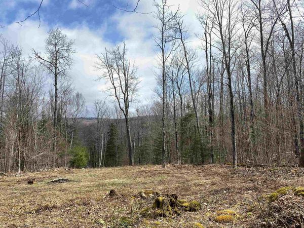 00 Miller Pond Road, Grantham, NH 03753