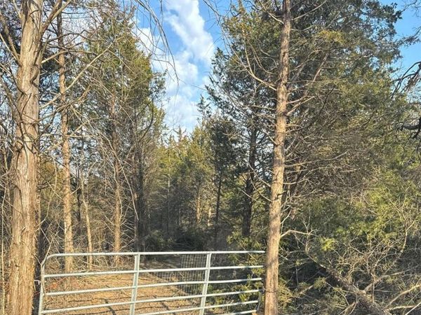 2556 Birch Street, Doe Run, MO 63637