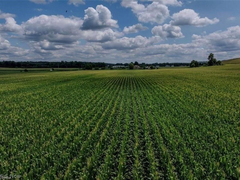 Erie Avenue , Beach City, OH 44608 Photo 2