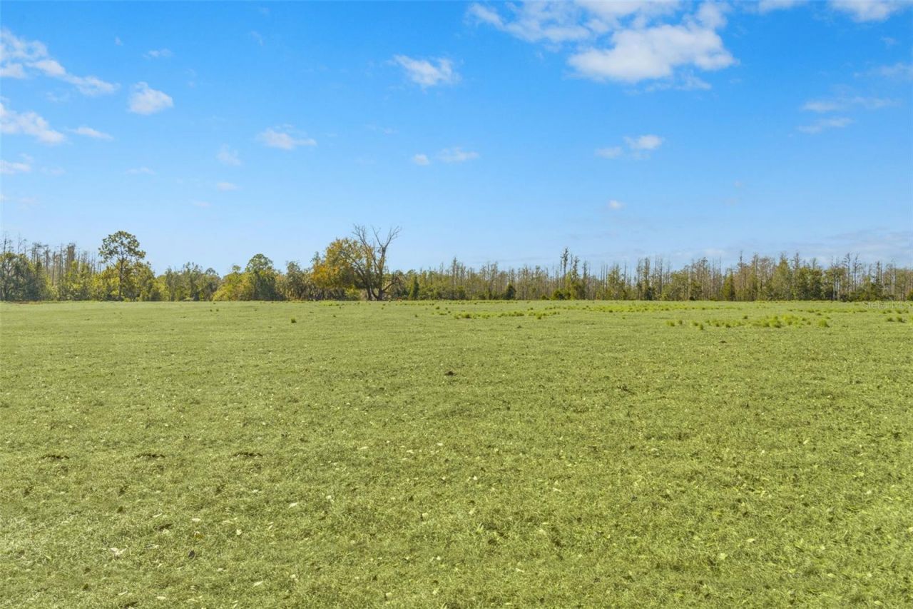 Lake Erie Road, Groveland, FL 34736 Photo