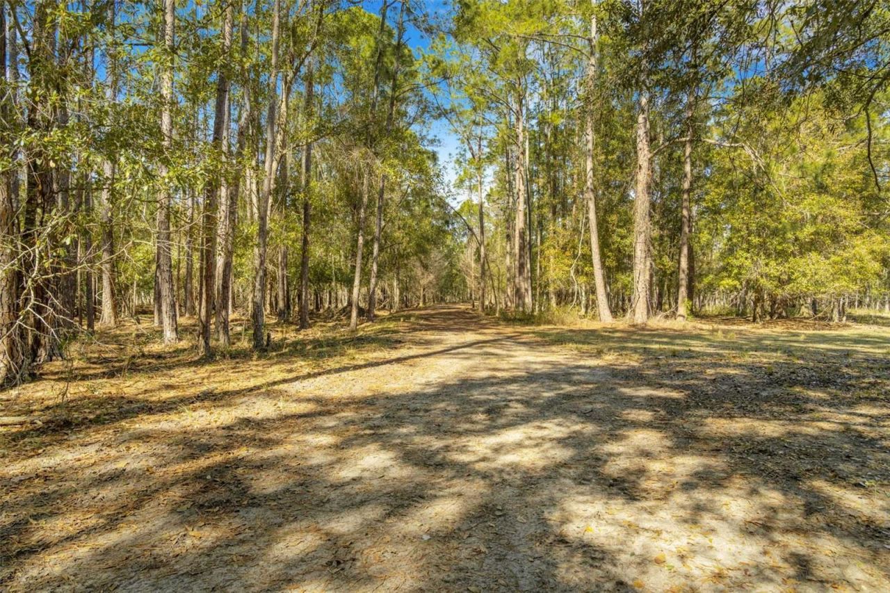 Lake Erie Road, Groveland, FL 34736 Photo