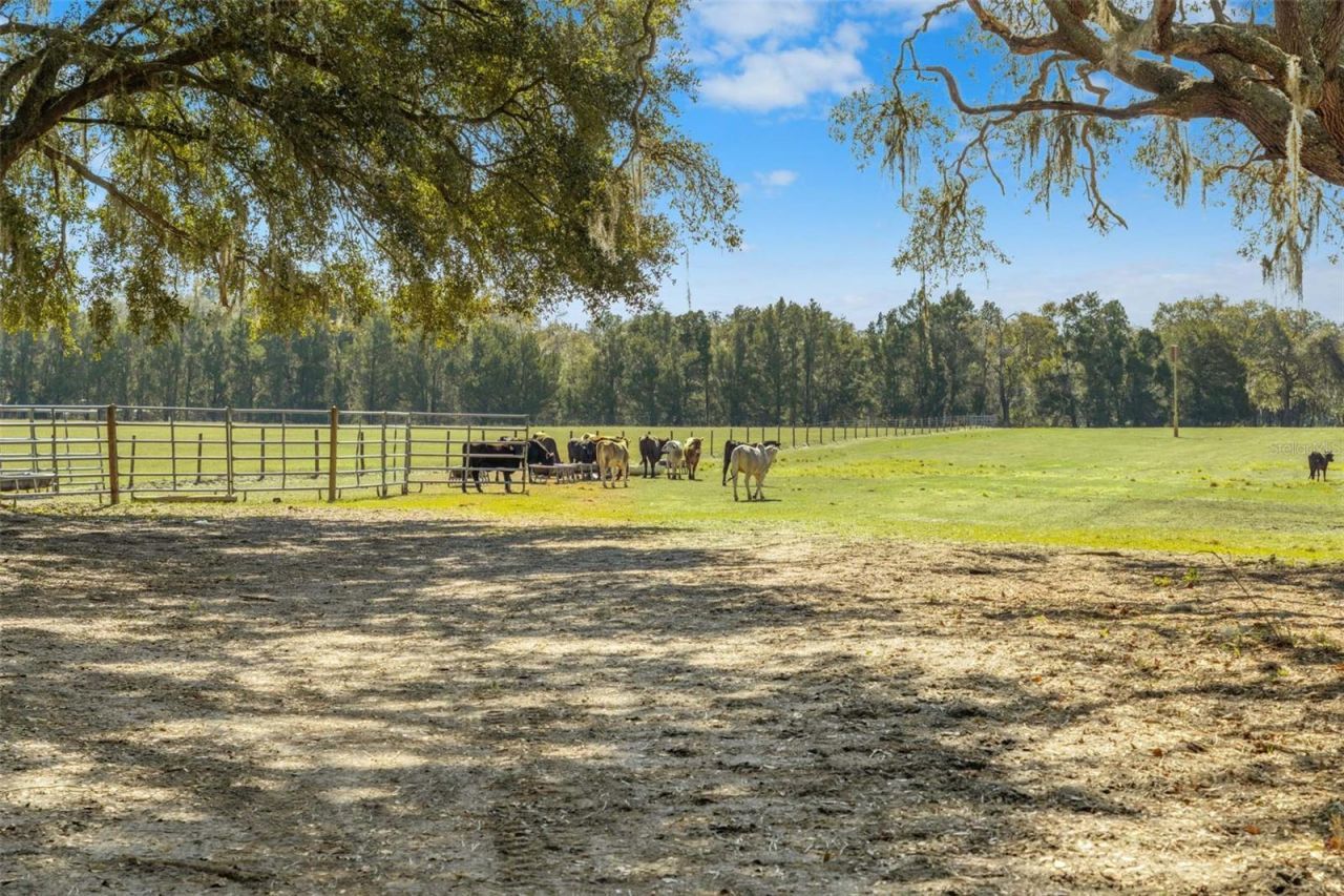 Lake Erie Road , Groveland, FL 34736 Photo