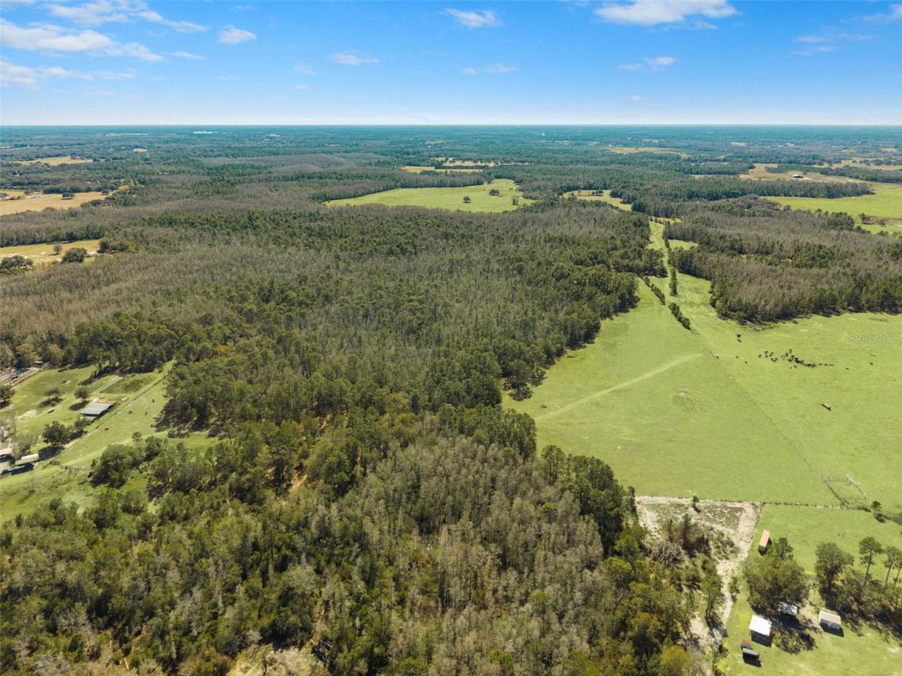 Lake Erie Road, Groveland, FL 34736 Photo