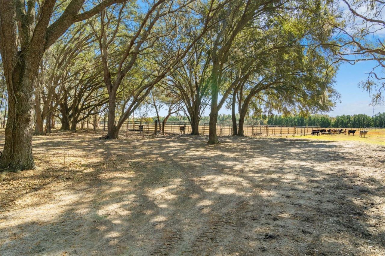 Lake Erie Road, Groveland, FL 34736 Photo