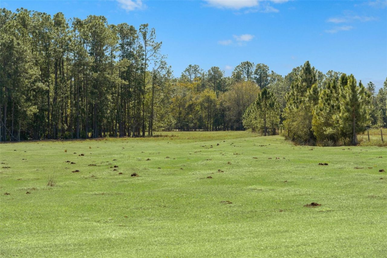Lake Erie Road, Groveland, FL 34736 Photo