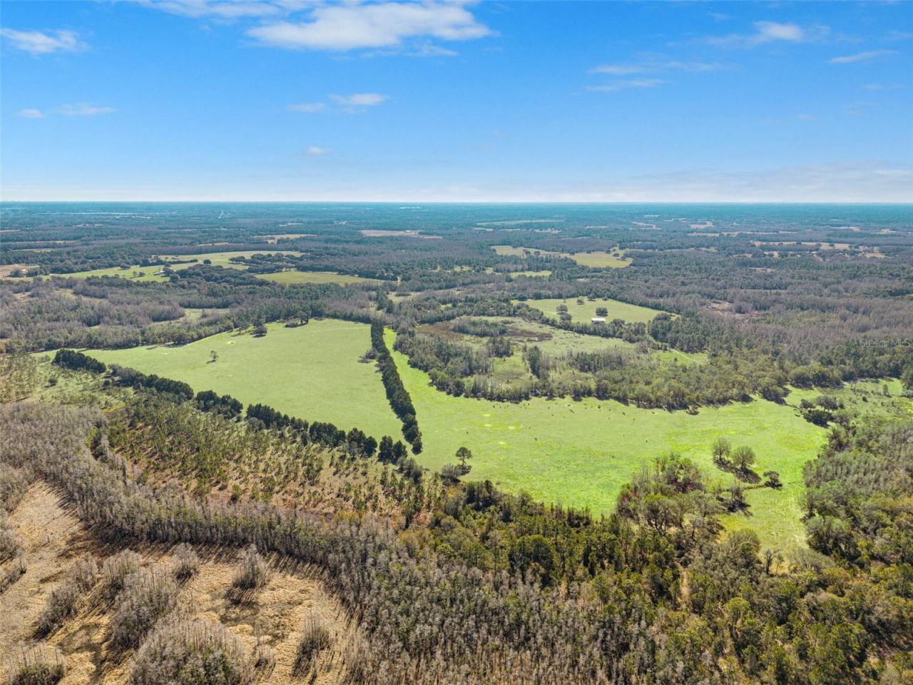 Lake Erie Road , Groveland, FL 34736 Photo