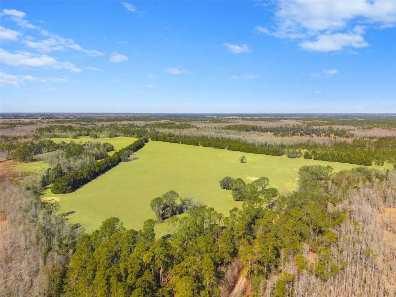 Lake Erie Road, Groveland, FL 34736 Photo