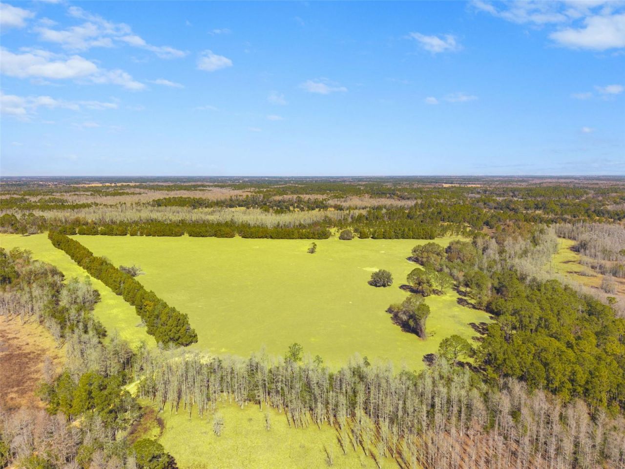Lake Erie Road, Groveland, FL 34736 Photo