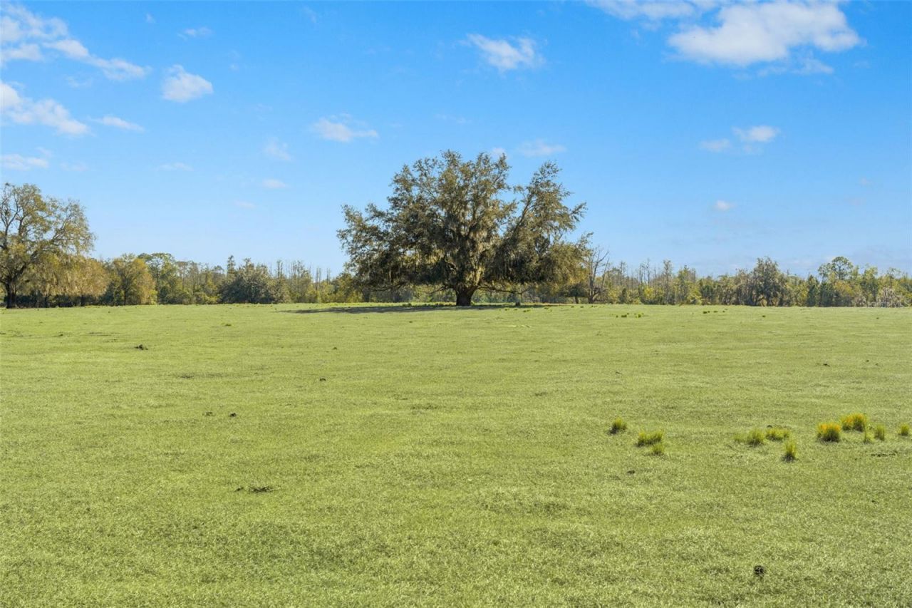 Lake Erie Road, Groveland, FL 34736 Photo