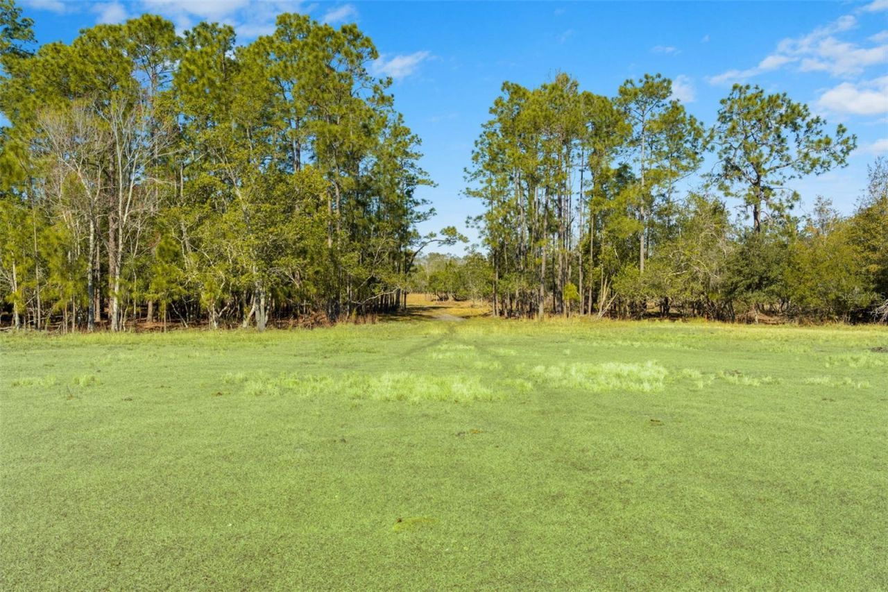 Lake Erie Road, Groveland, FL 34736 Photo