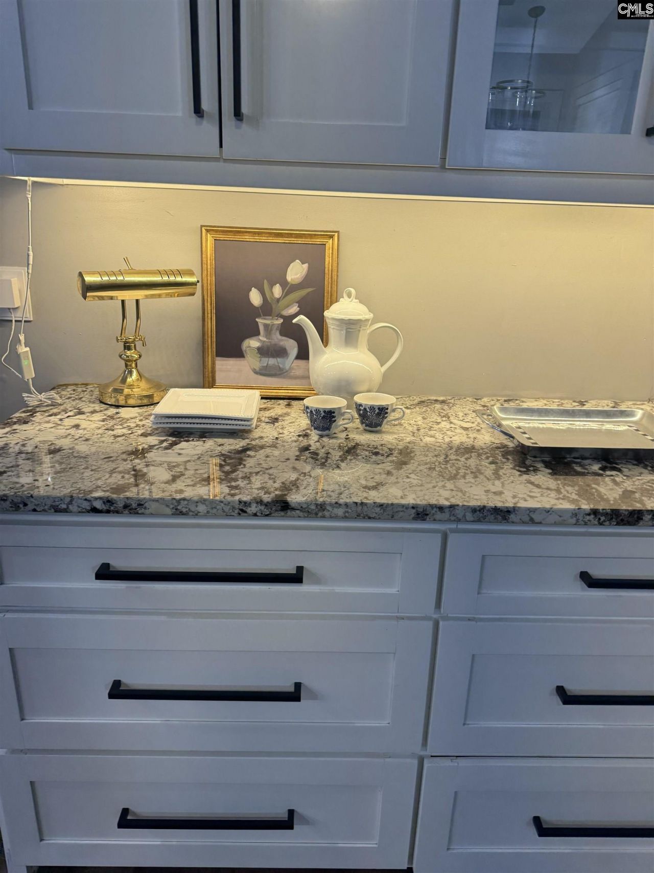 303 Vista Springs Circle Photo 14