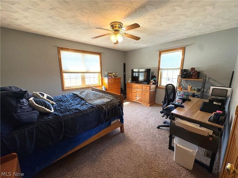 67174 Pancoast Road, Belmont, OH 43718 Photo 34