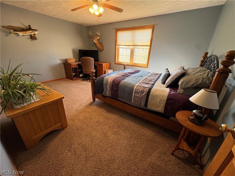 67174 Pancoast Road, Belmont, OH 43718 Photo 38