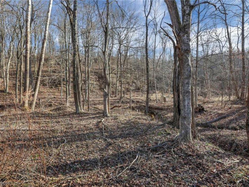 3750 Cannelville Road, Roseville, OH 43777 Photo 26