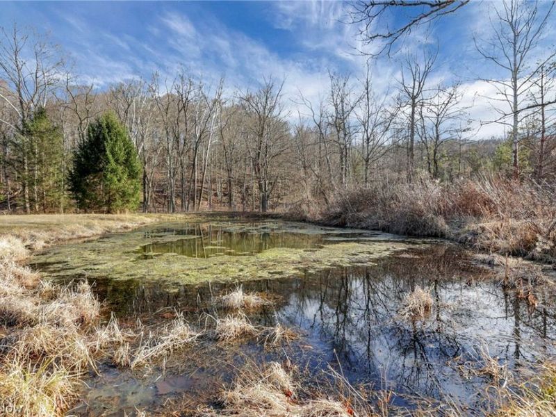 3750 Cannelville Road, Roseville, OH 43777 Photo 27