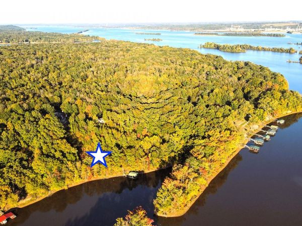 0 Davis N Lake Access Rd , Camden, TN 38320