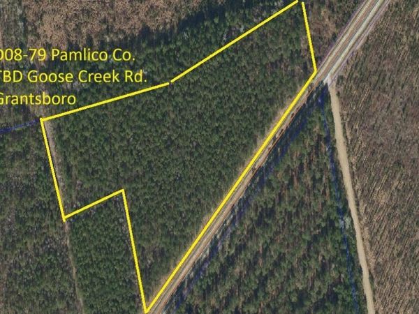 D08-79 Goose Creek Road, Bayboro, NC 28515