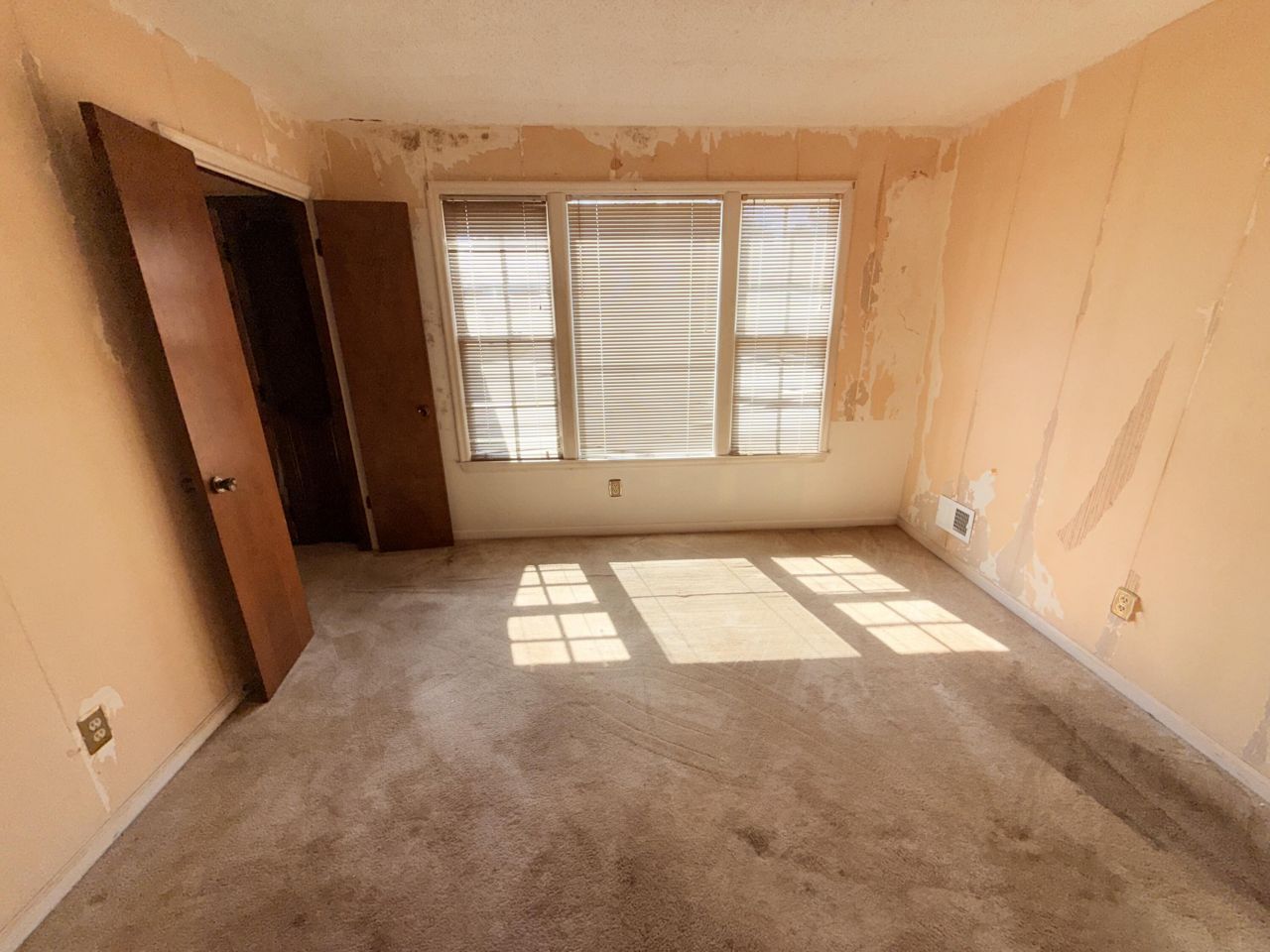 7901 Tradd Street Photo 17