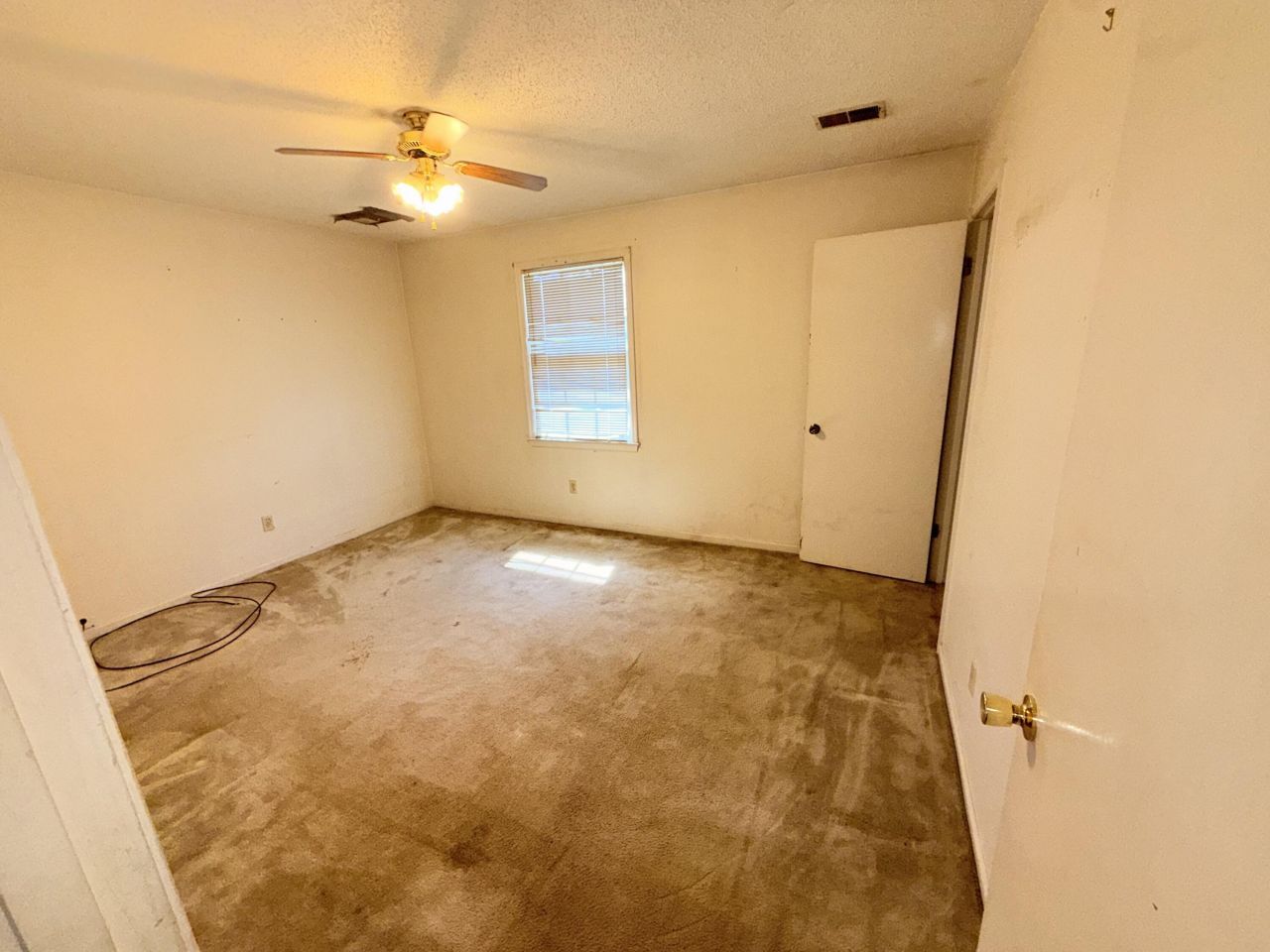 7901 Tradd Street Photo 29