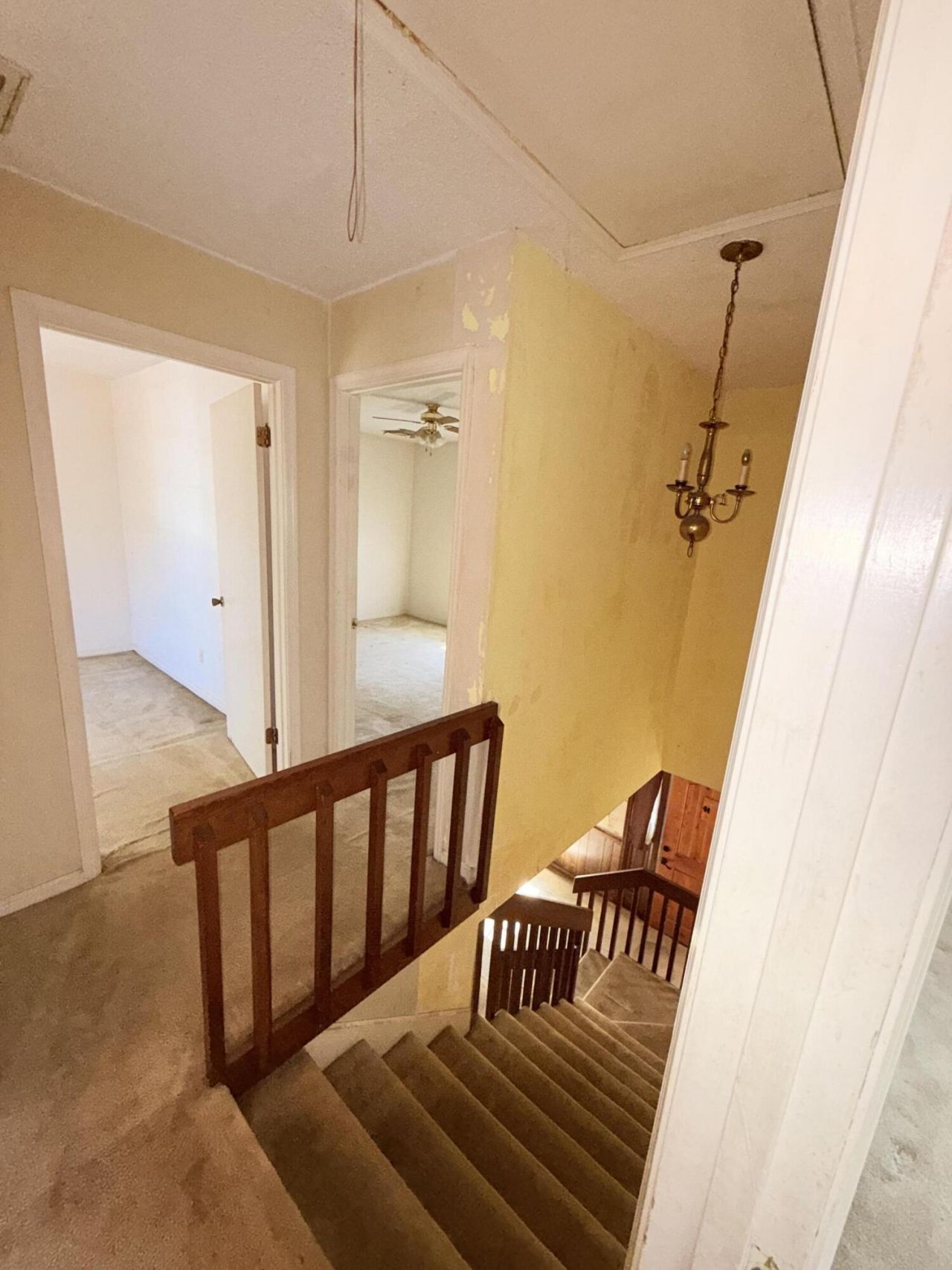 7901 Tradd Street Photo 34