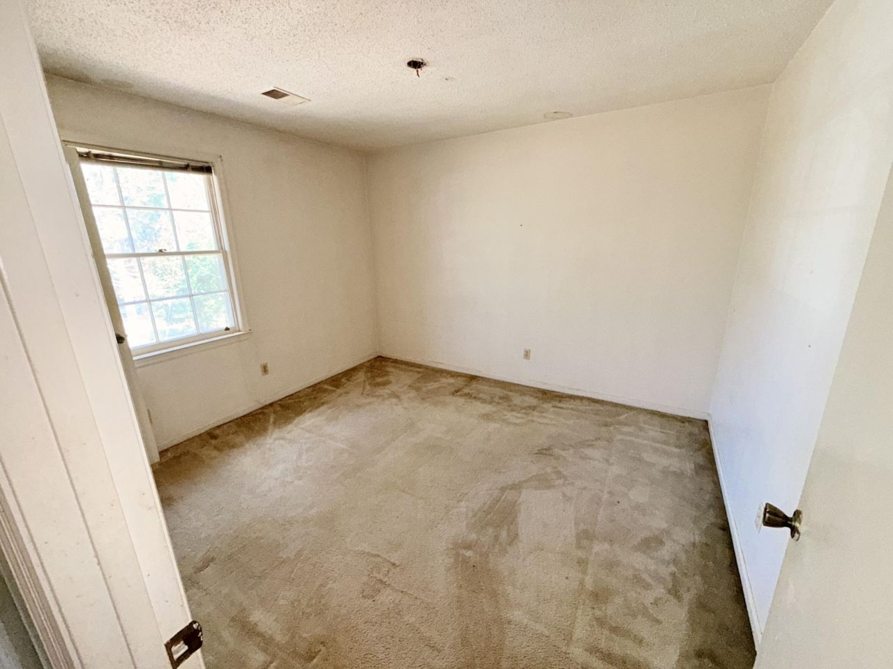 7901 Tradd Street Photo 35