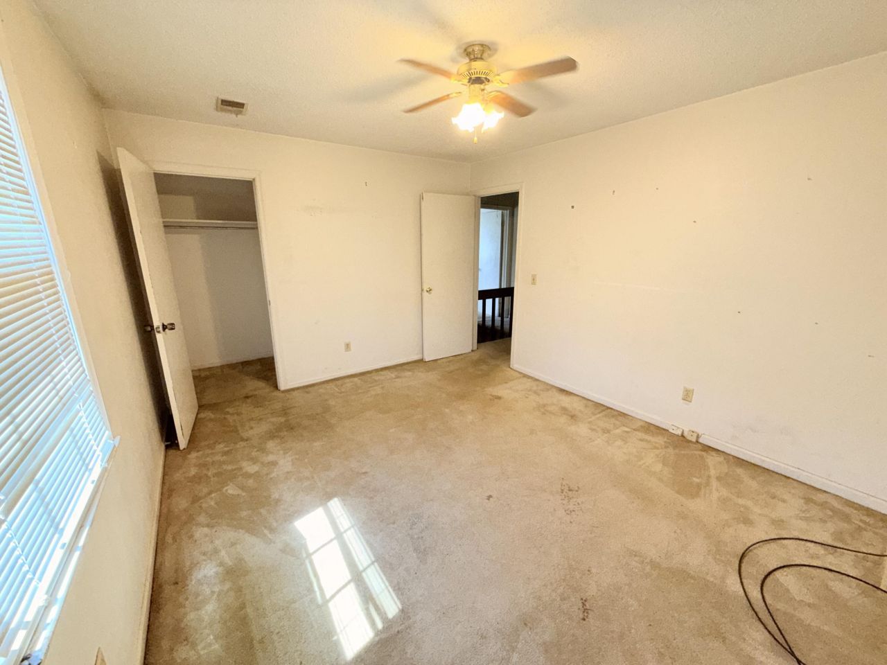 7901 Tradd Street Photo 36