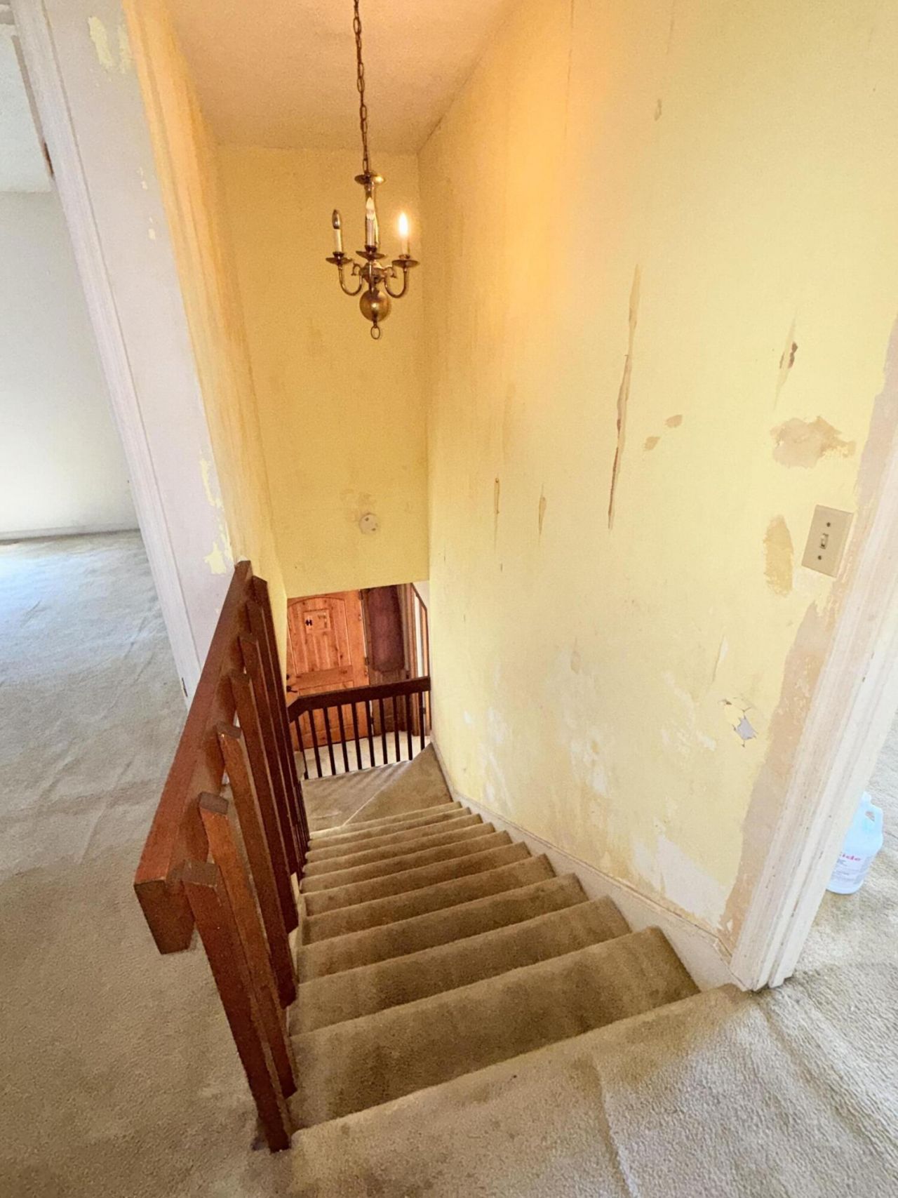 7901 Tradd Street Photo 37