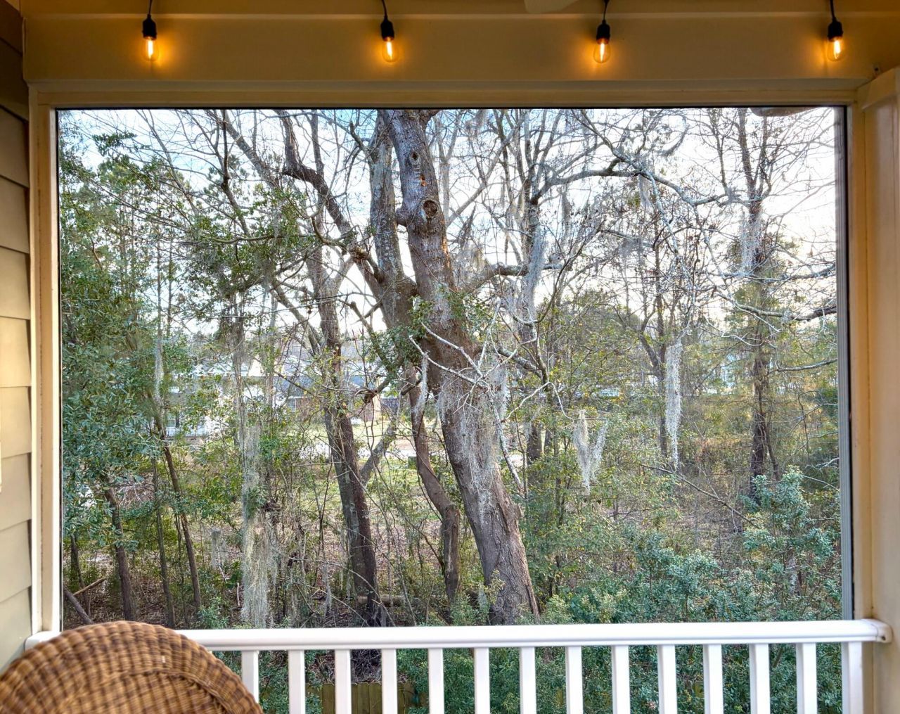 1219 Dingle Road Photo 30