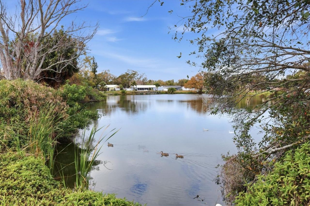 3102 40th Street W, Bradenton, FL 34205 Photo