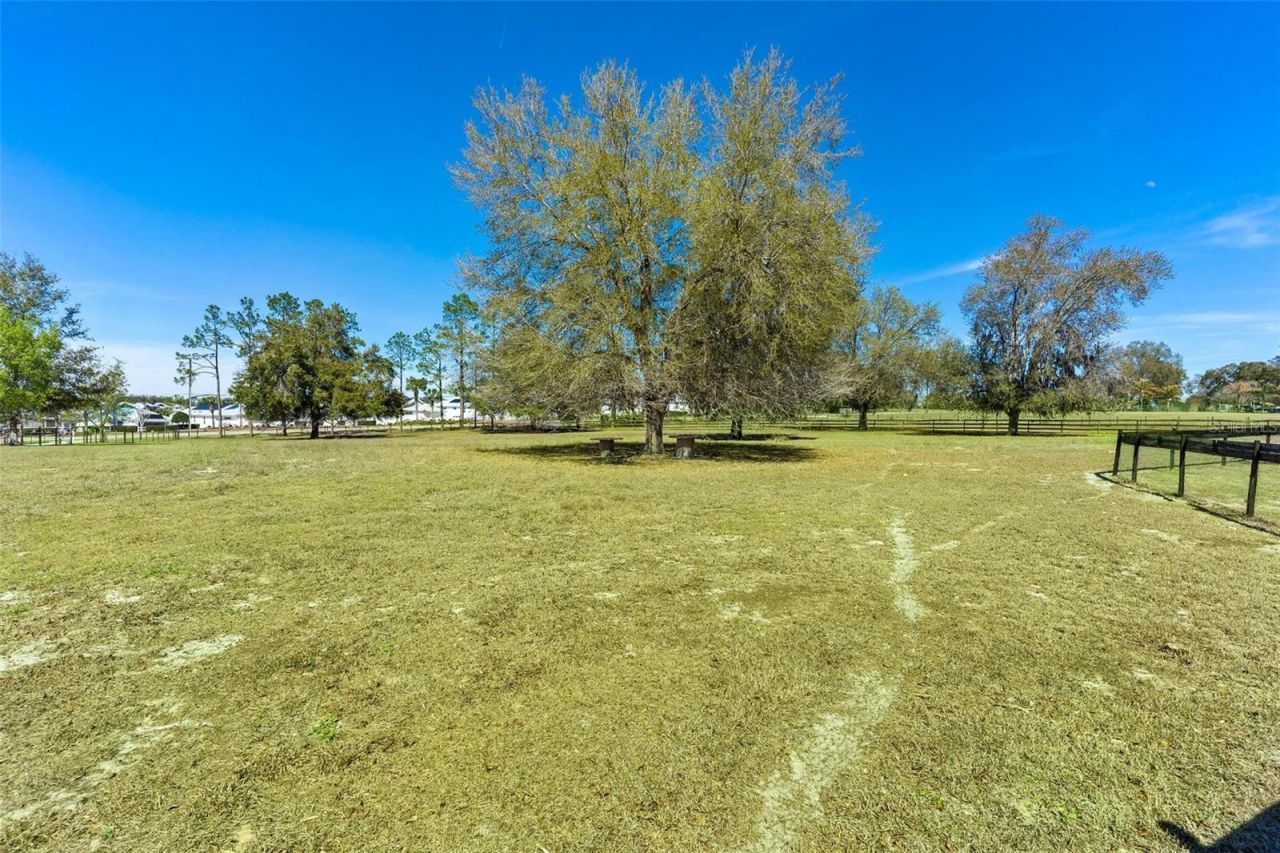 1636 Lake Ella Road, Fruitland Park, FL 34731 Photo
