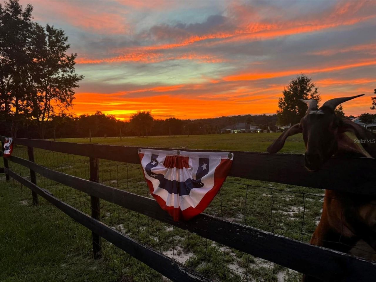 1636 Lake Ella Road, Fruitland Park, FL 34731 Photo